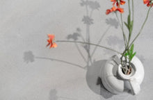 Ladda upp bild till gallerivisning, Van Besouw Matta - 2613