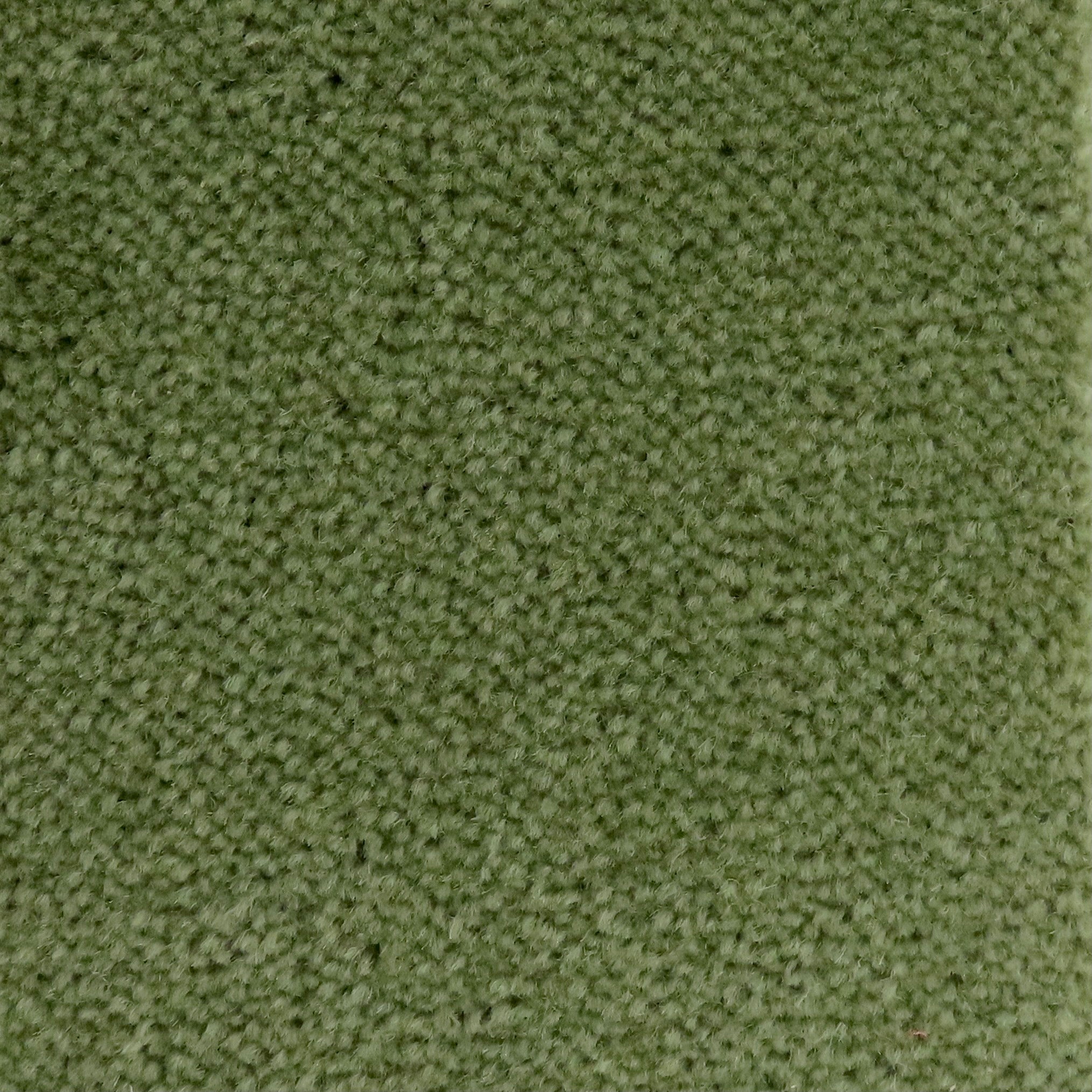 1072Green
