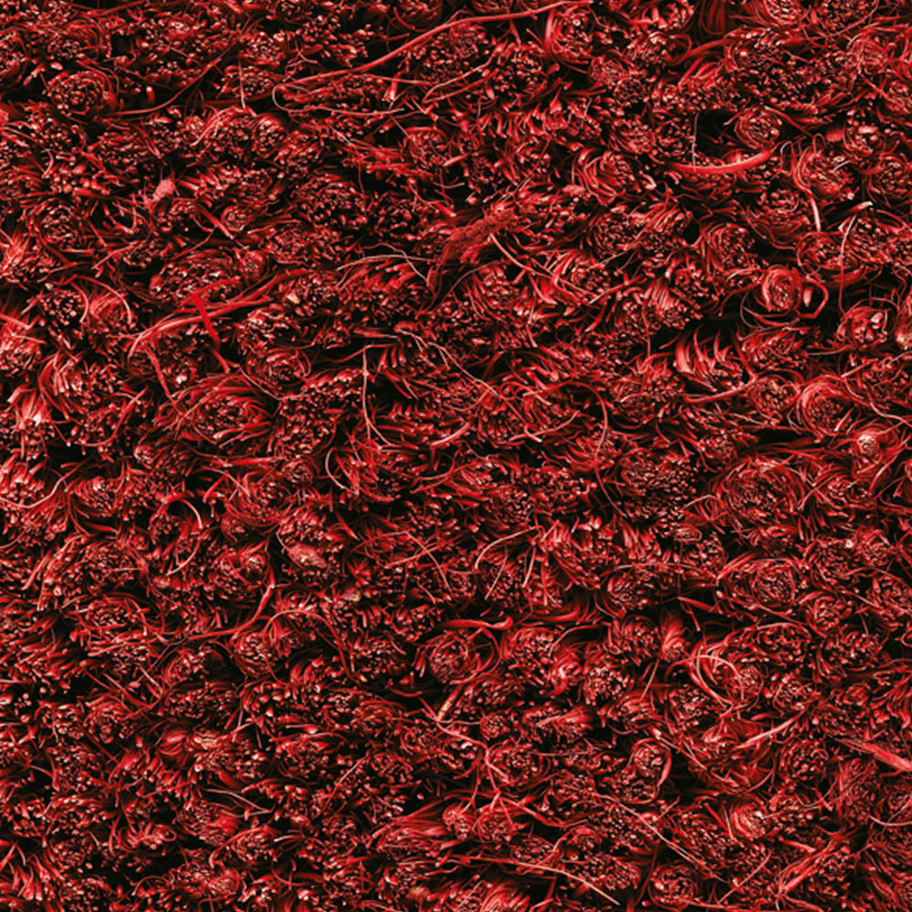 17mm-kokosborst-01rod