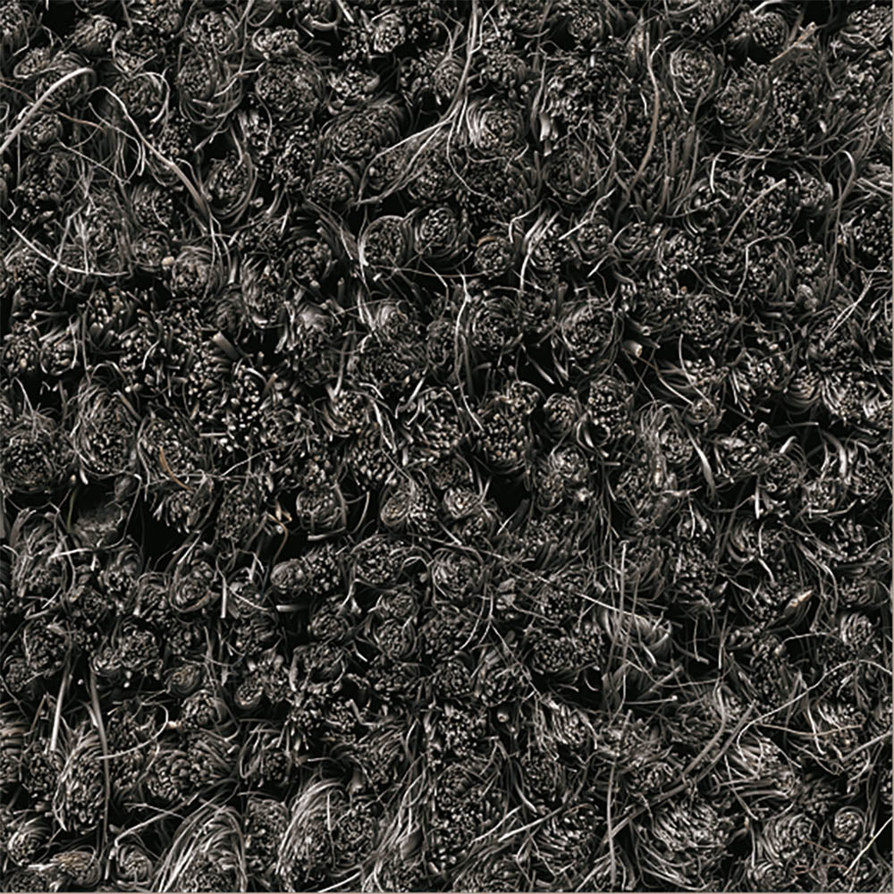 17mm-kokosborst-14gra