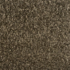 244624-salvia-sense