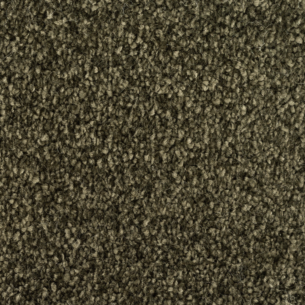 244628-cactus-sense