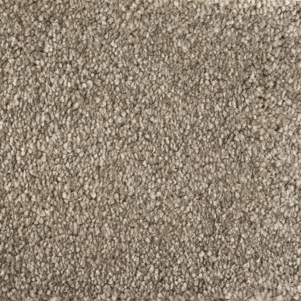 244637-almond-sense
