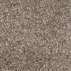 244638-mole-sense