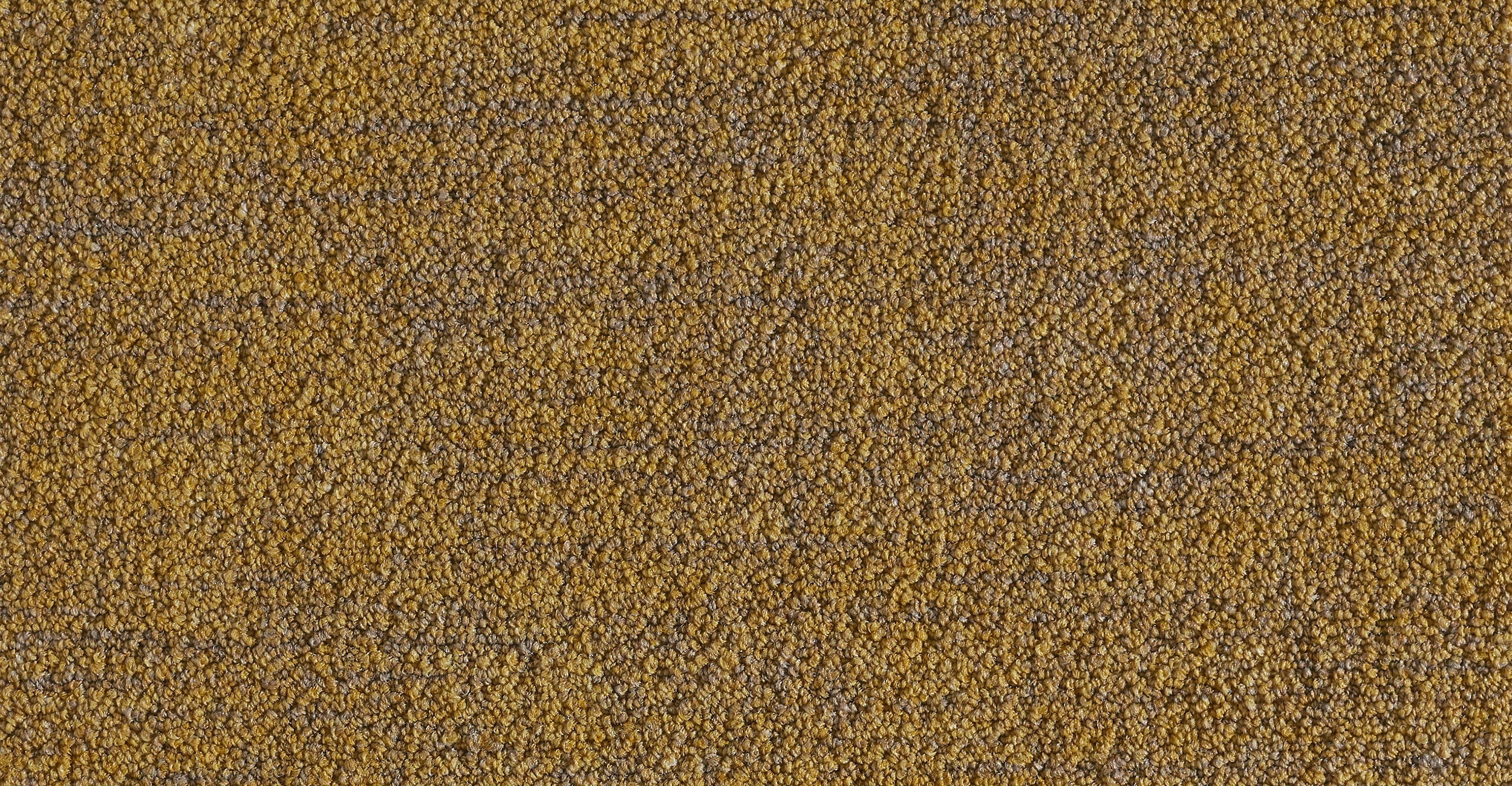 Ege ReForm Calico