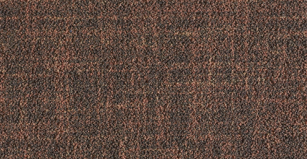 Ege ReForm Calico