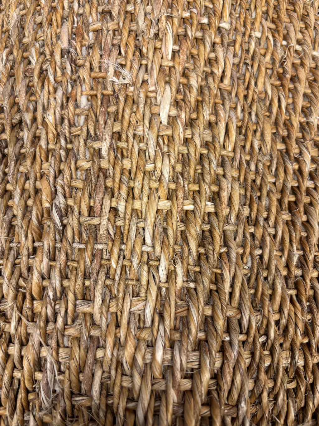 Sicoma / Tasibel Montana Bergsgräsmatta