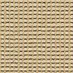 Sicoma-Maori-8023