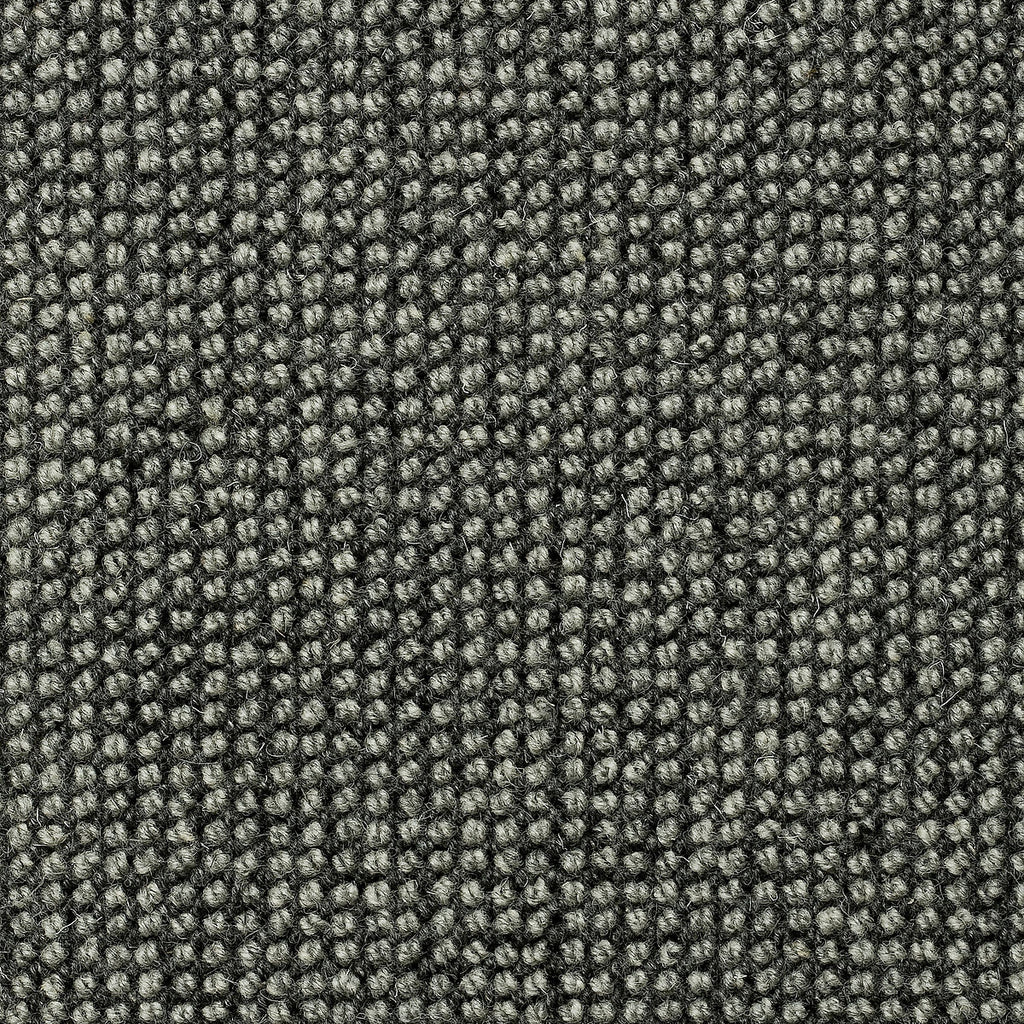 Sicoma / Tasibel Estrella Wiltonmatta