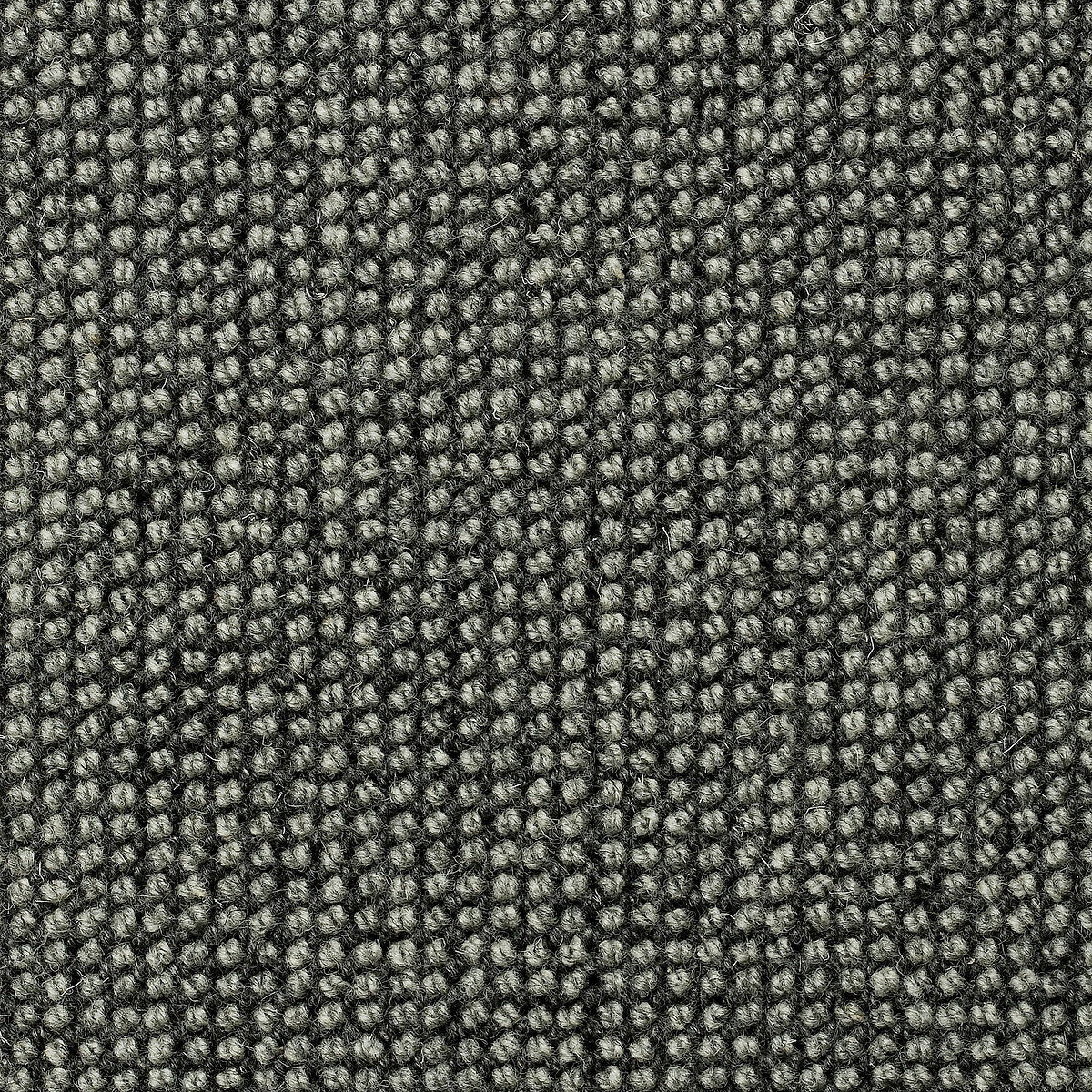 Sicoma / Tasibel Estrella Wiltonmatta