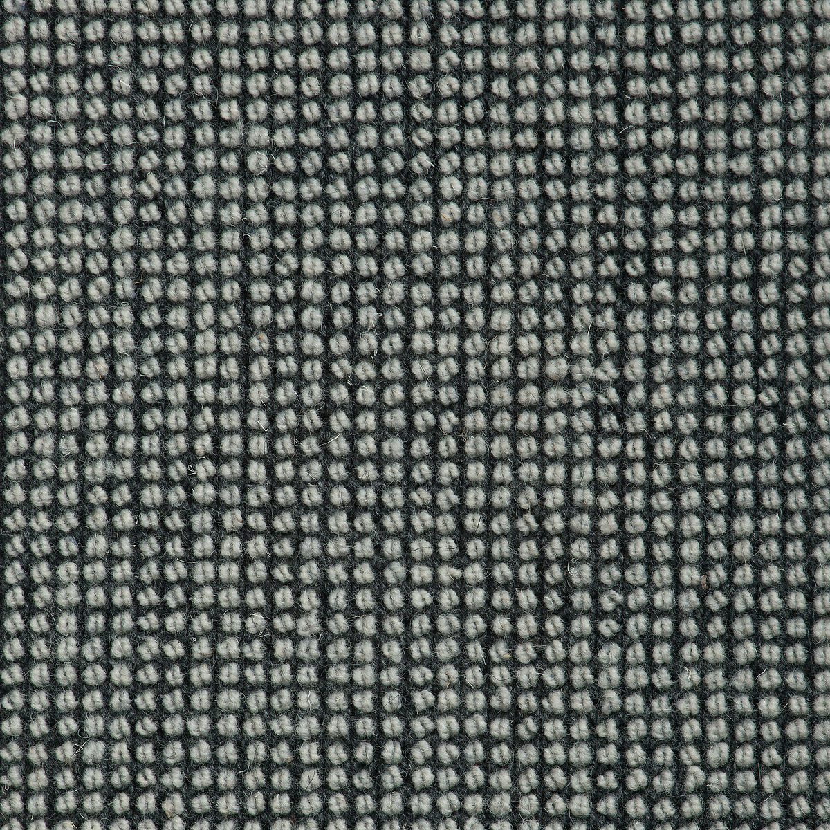 Sicoma / Tasibel Estrella Wiltonmatta