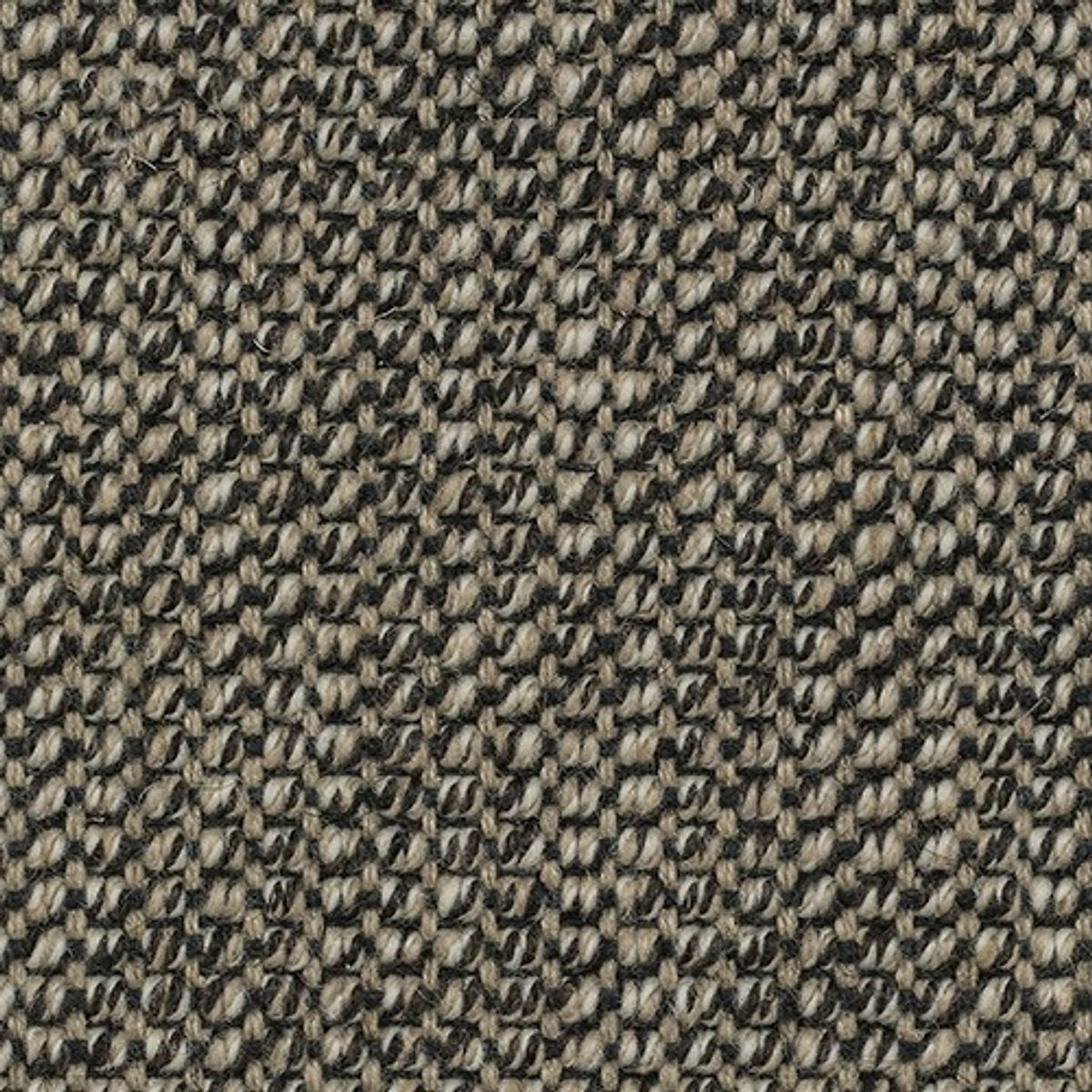 686b8ef841f6d623e5d14fe8_phoenix_252025_2520brown