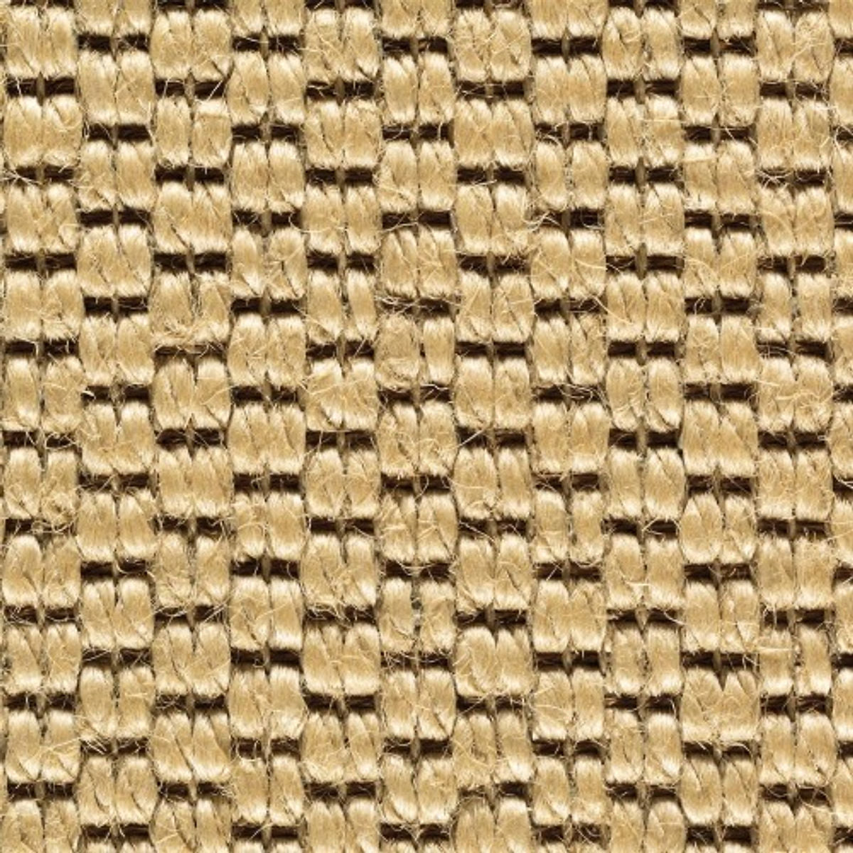 686b92adbd8388a55d9be854_zambesi-2376-res