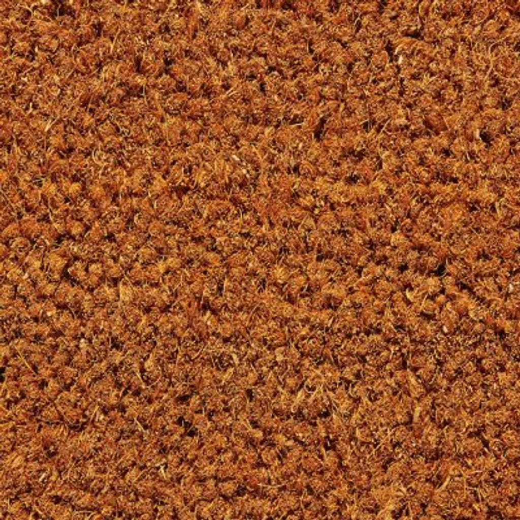 68b1a3341846807bd7ec128e_686b92b482bddc71852dae1f_Corn