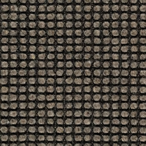 68b5b325aa196189bbf2519c_Maori_8026_res_0_7b720ab4