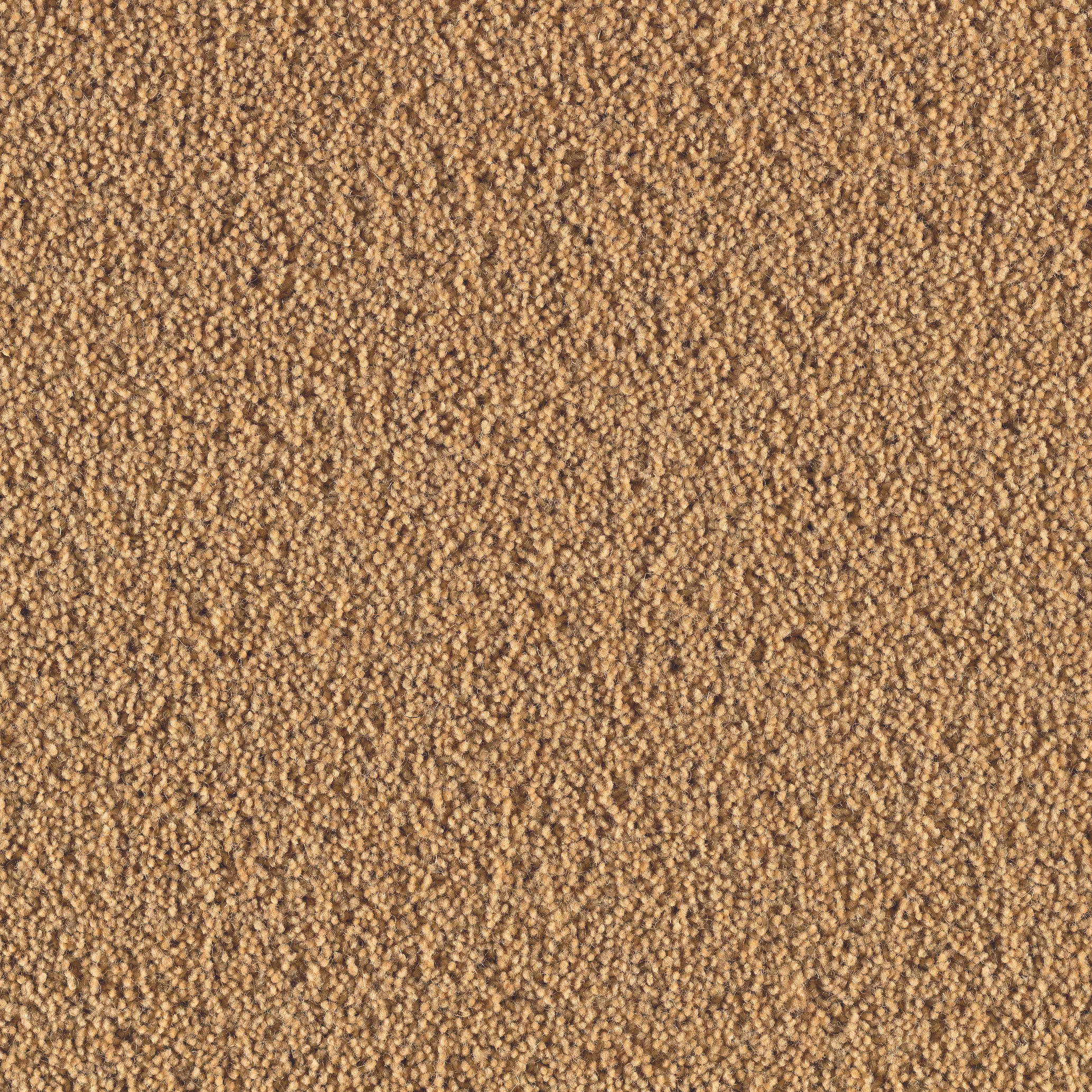 Sicoma / Tasibel Ceres Ullmatta