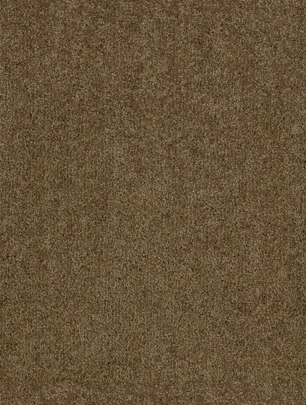 68b5b6110b26c2723e686e09_ceres_203585