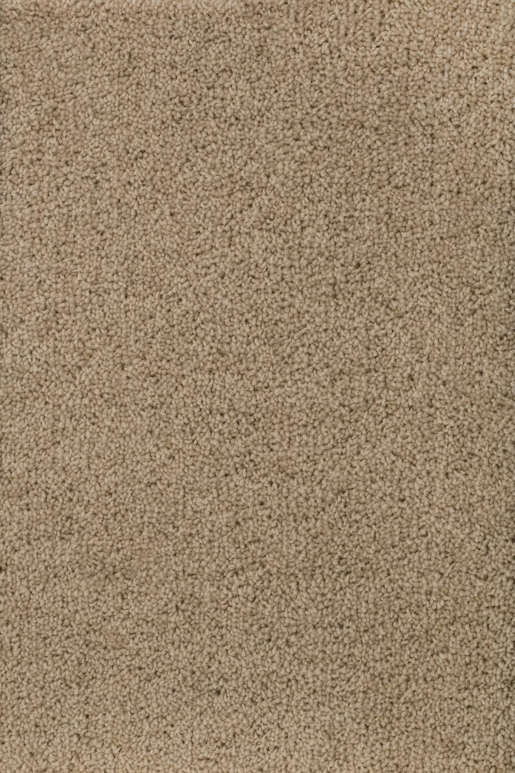 68b5b63b2e9b175c9bee9286_ceres_203184