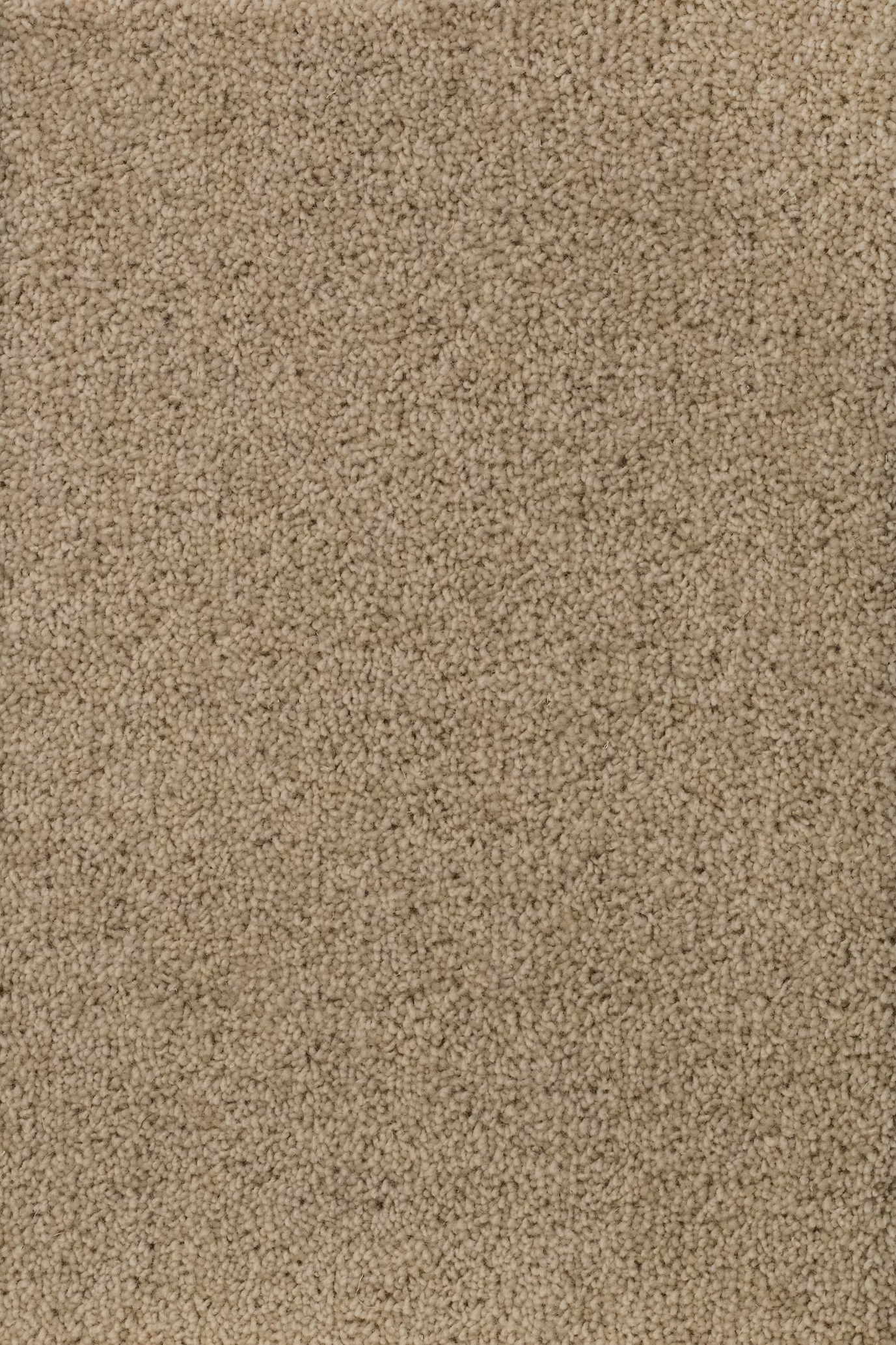 68b5b63b2e9b175c9bee9286_ceres_203184