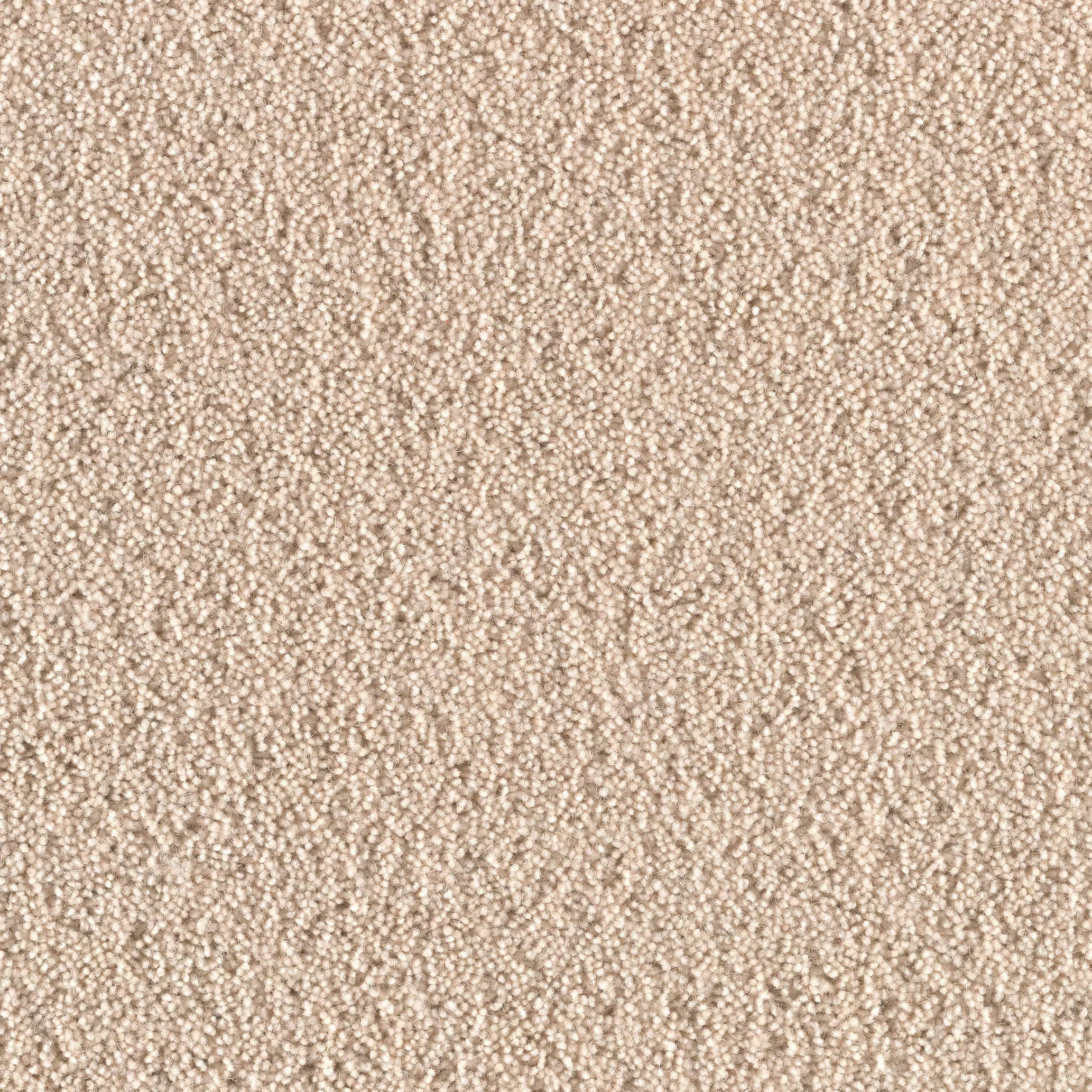 Sicoma / Tasibel Ceres Ullmatta