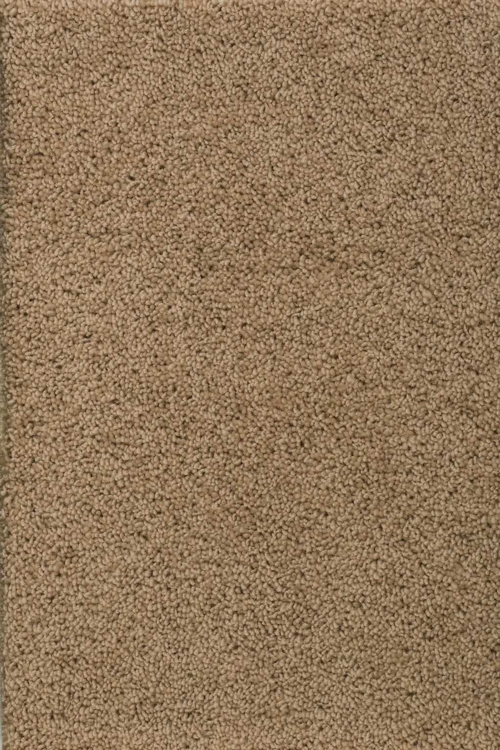 68b5b69facb8170797d8a3c5_ceres_203764