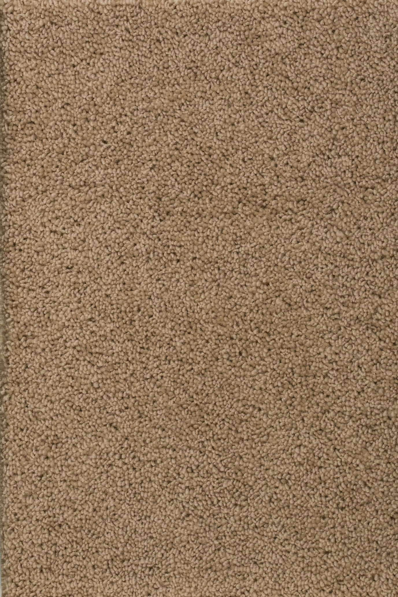 68b5b69facb8170797d8a3c5_ceres_203764