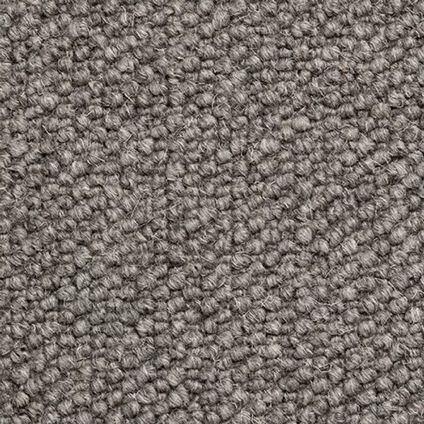 68b5b8d20a093a883884d974_Savanna_2040