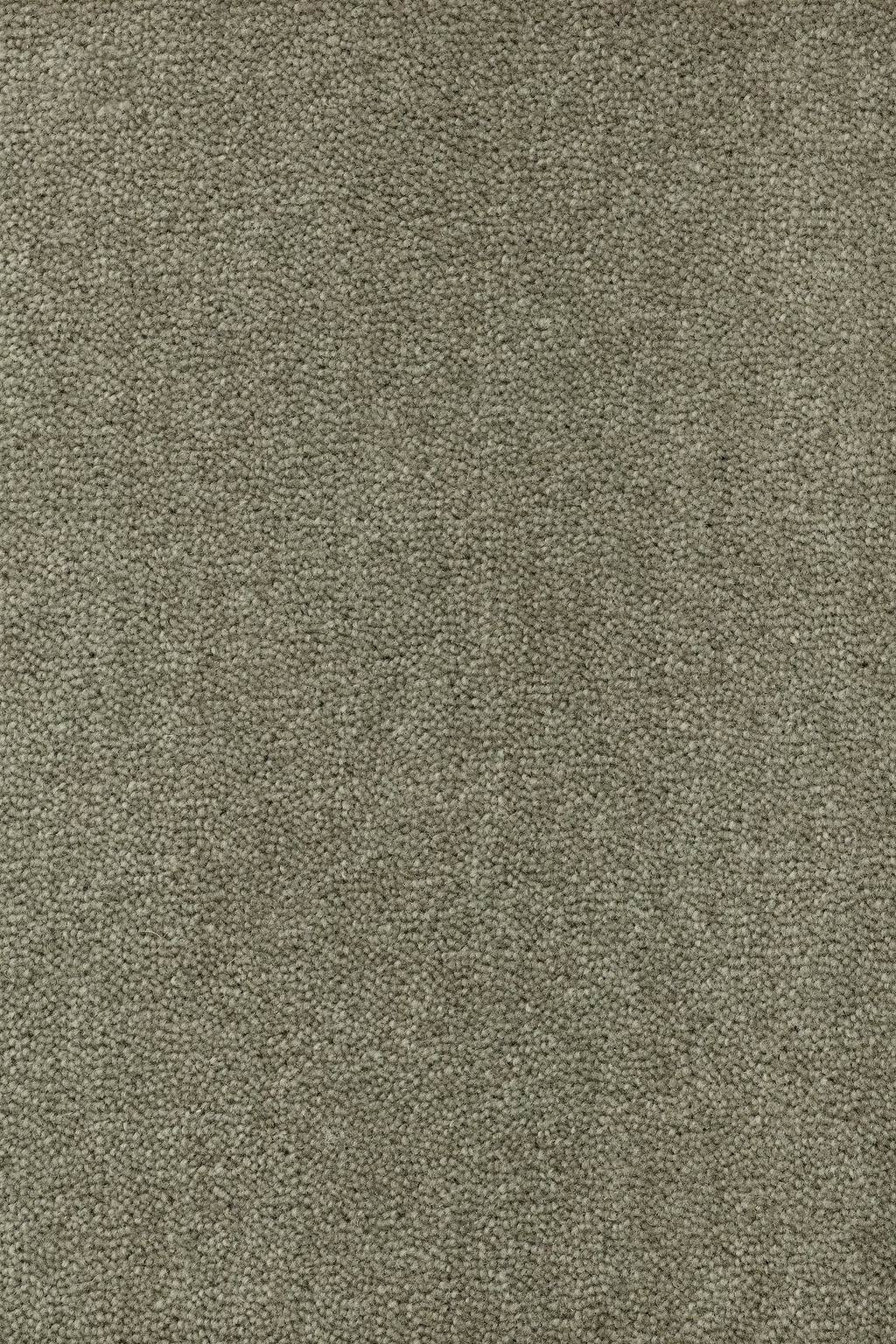 68b5baa5a594b265ee83009f_Sheba_201025