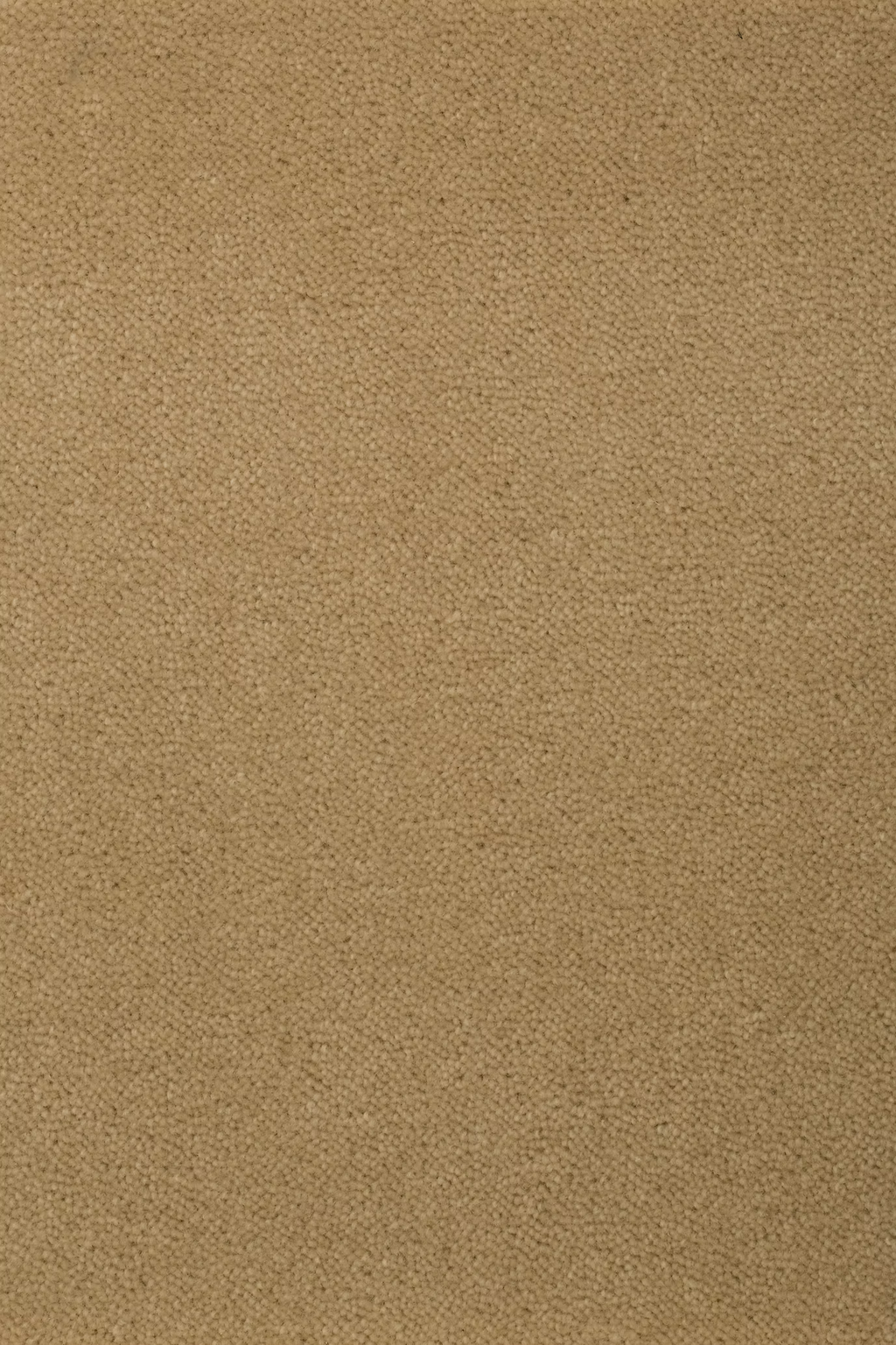 68b5bb3e937742fba2b02676_Sheba_201761