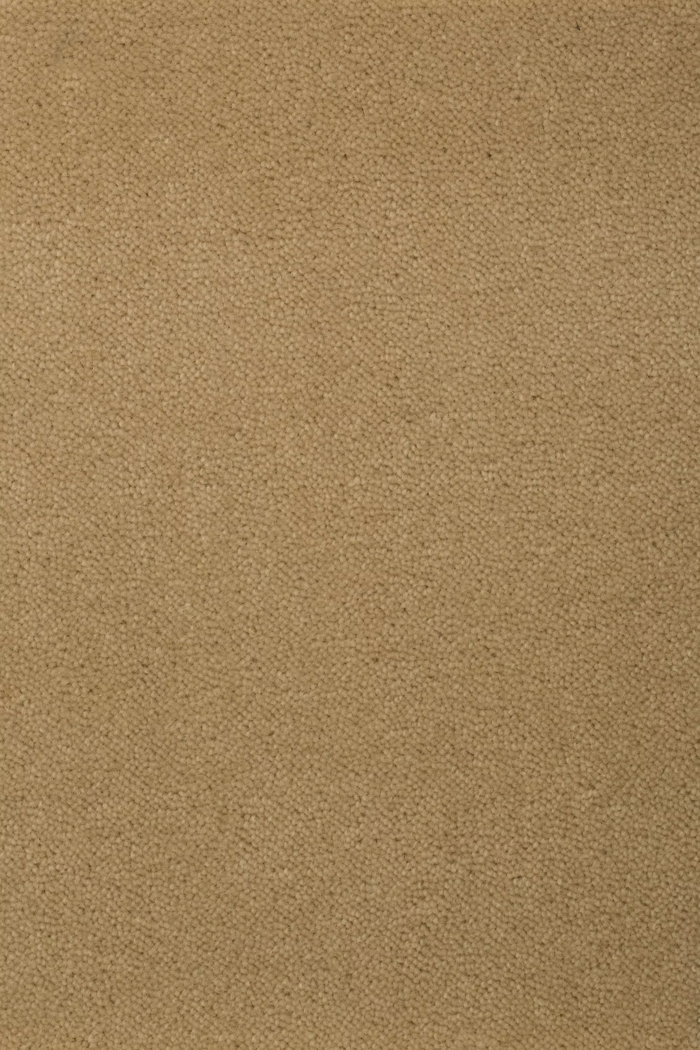 68b5bb3e937742fba2b02676_Sheba_201761