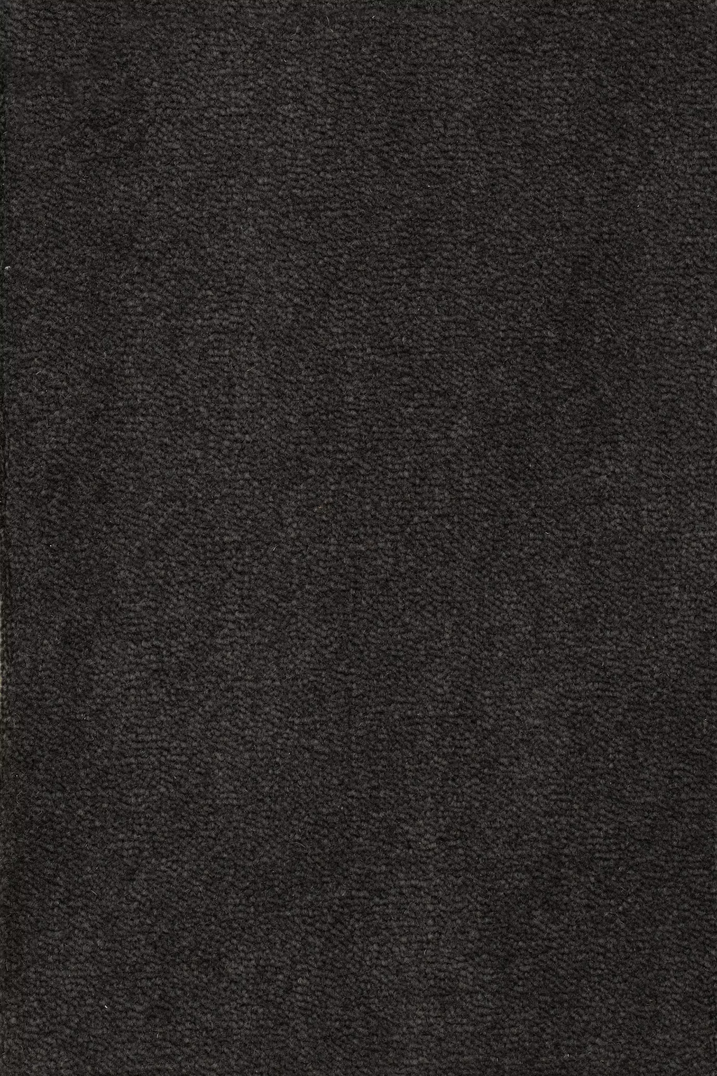 68b5bb50b161d57cbe76ff94_Sheba_201597