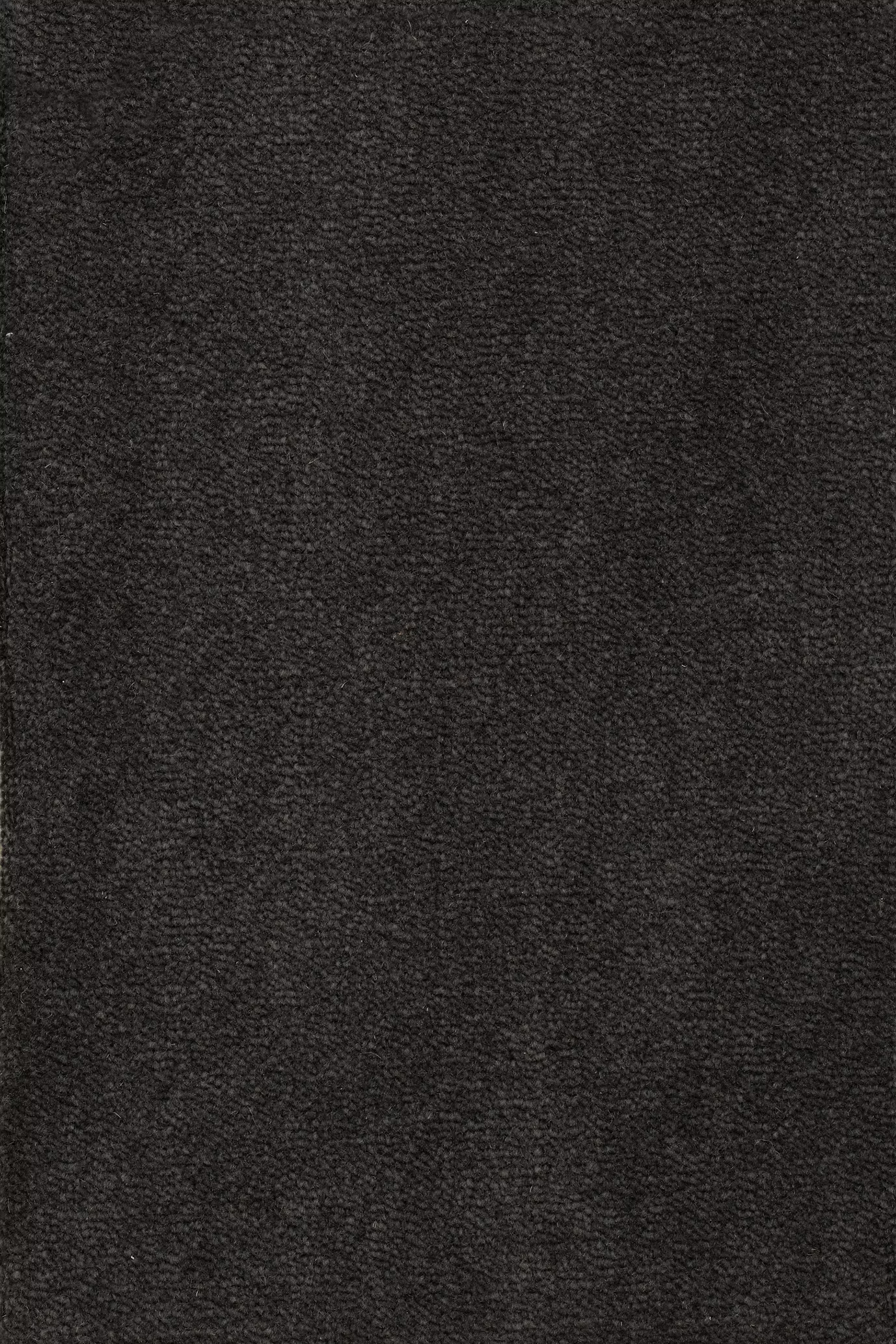 68b5bb50b161d57cbe76ff94_Sheba_201597