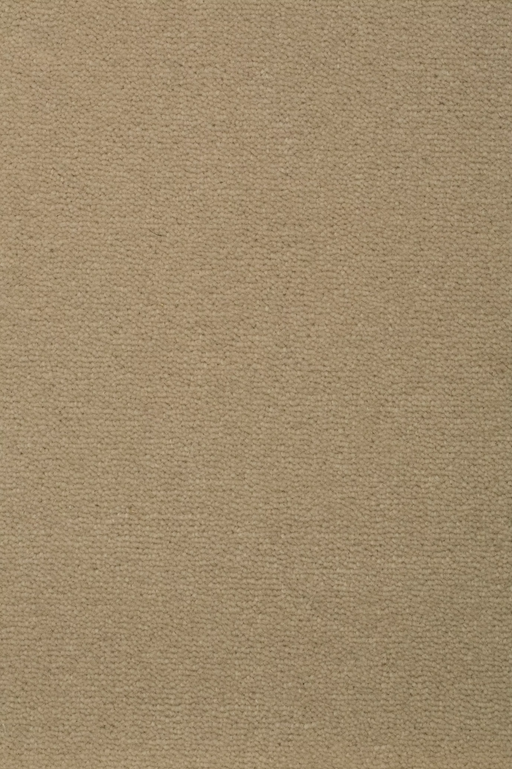 68b5bba4eb5aba2db4c1b10c_Sheba_201184