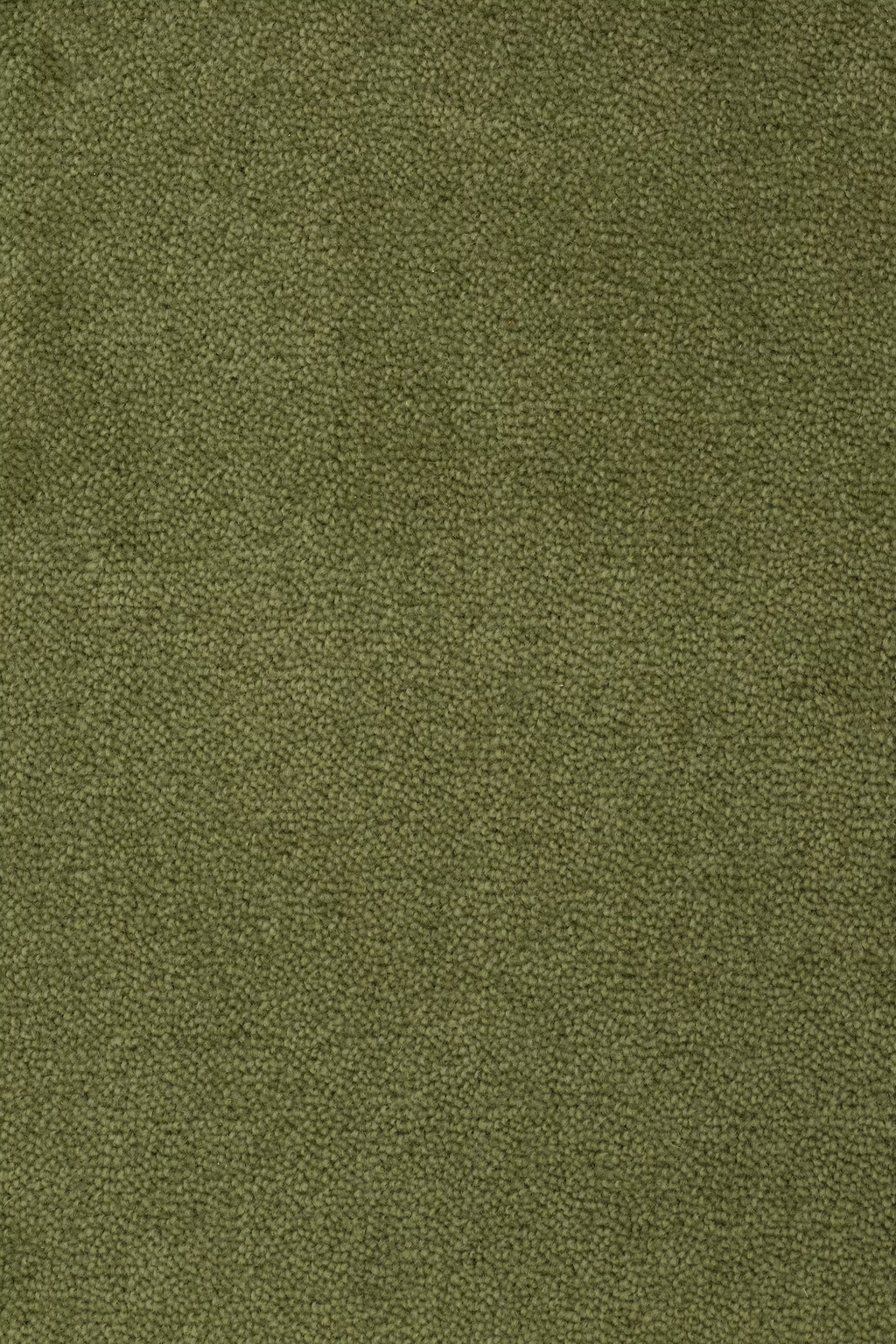 68b5bbf78c1c4a46ee8f8b9f_Sheba_201072