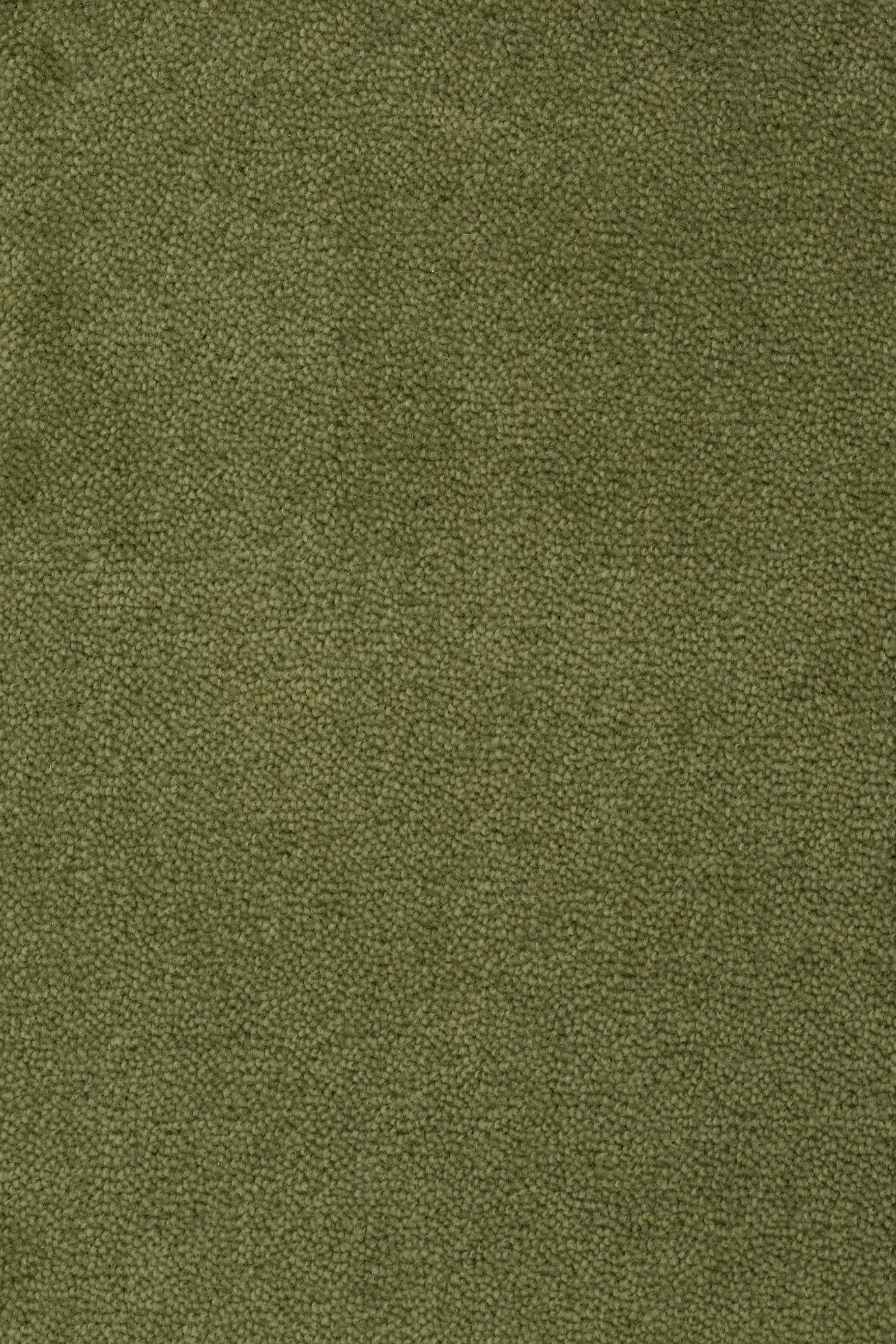 68b5bbf78c1c4a46ee8f8b9f_Sheba_201072