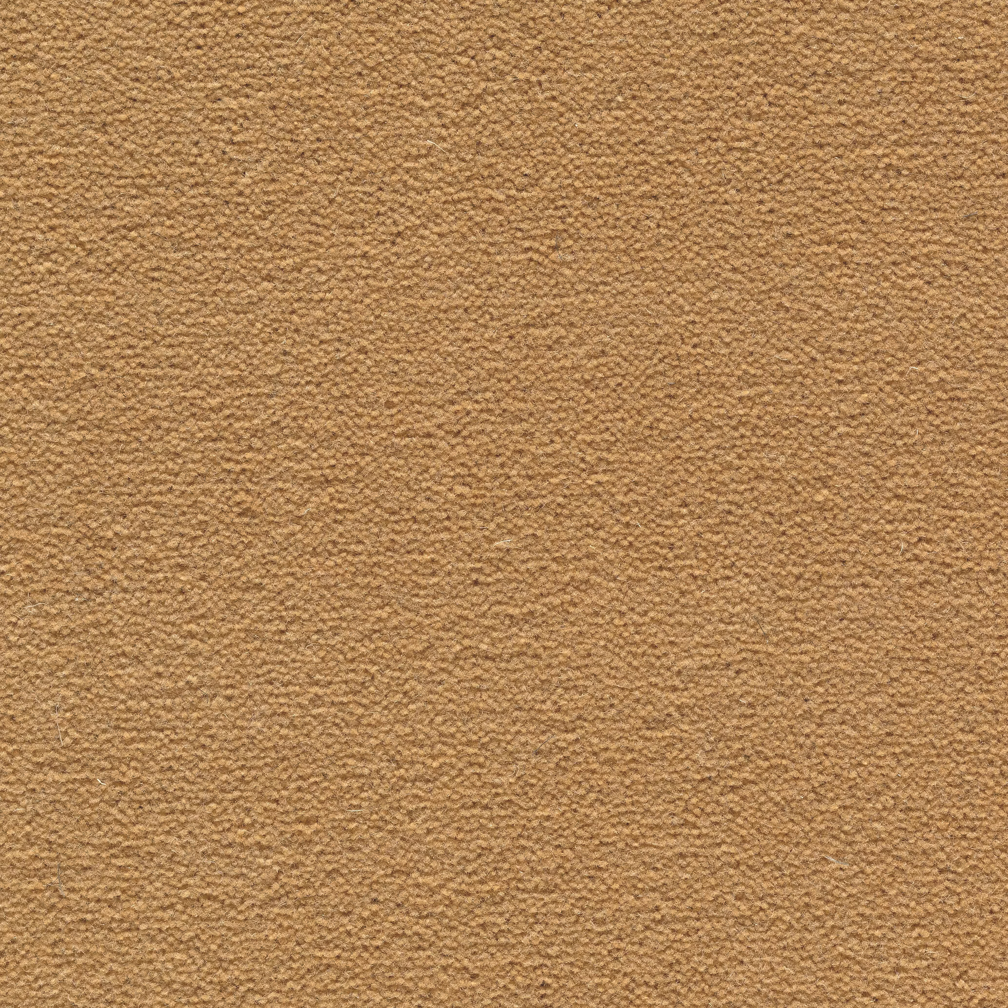 68b5bc397c977ab722adedd8_Sheba_201090