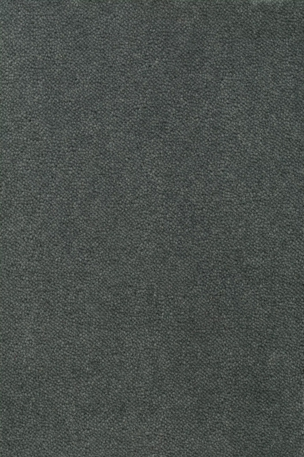 68b5bc6f9eb6ea720e549642_Sheba_201379