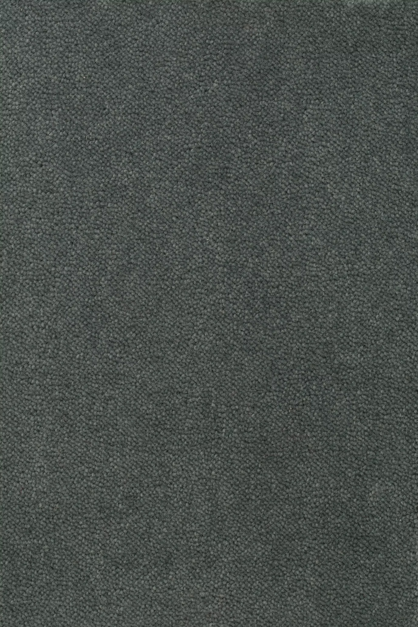 68b5bc6f9eb6ea720e549642_Sheba_201379