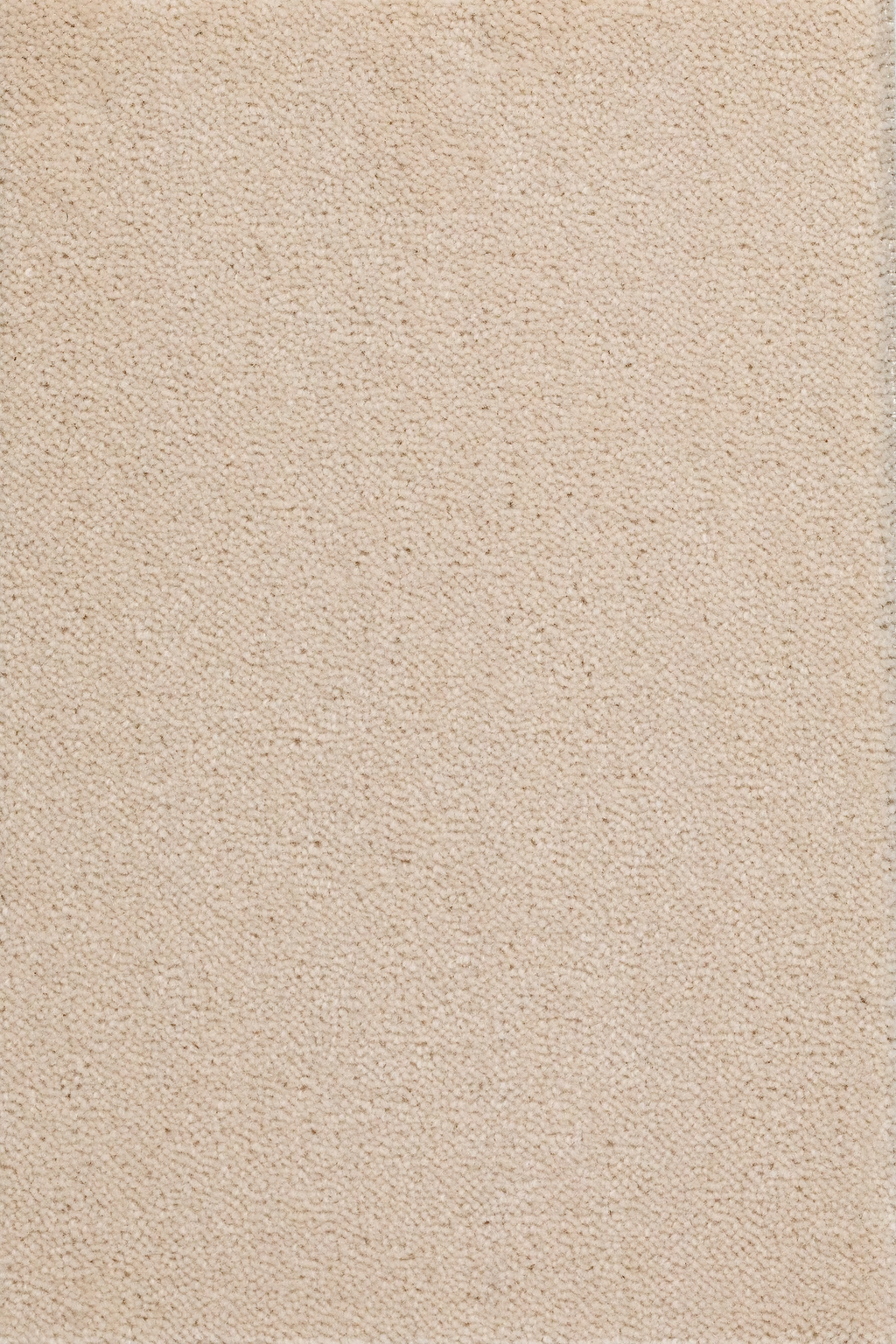 68b5bc7ef1ced45f604a9459_Sheba_201004_20_2