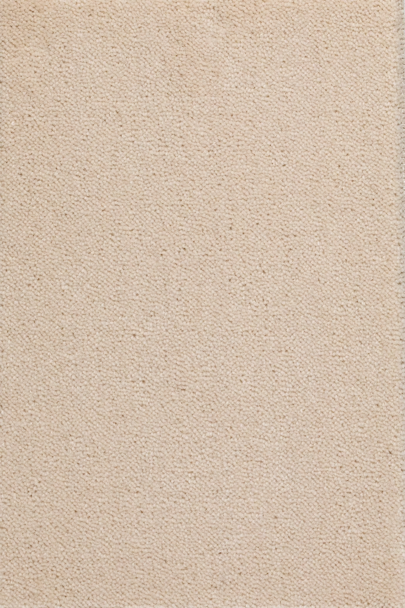 68b5bc7ef1ced45f604a9459_Sheba_201004_20_2