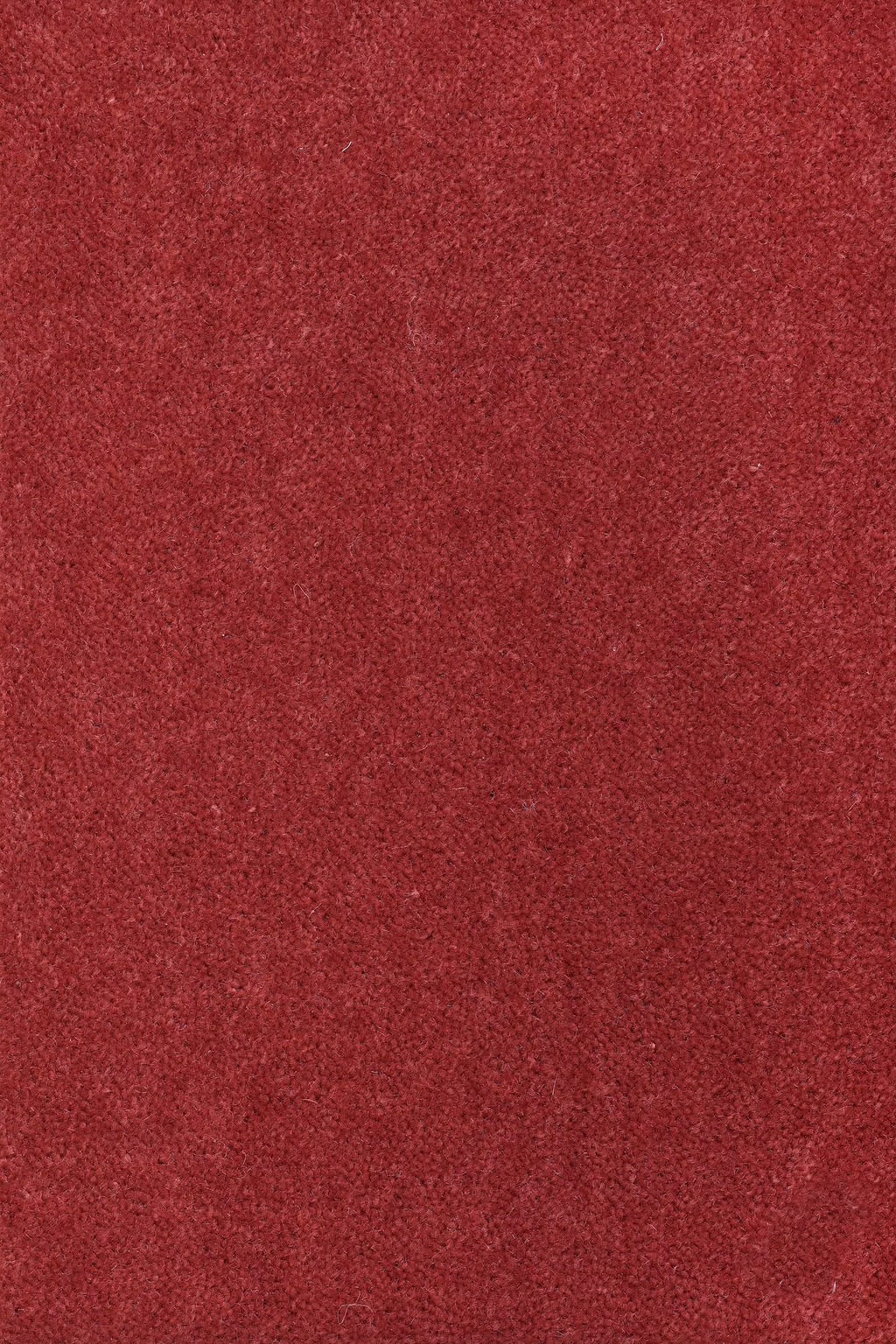 68b5bc8b534d8e937e76040f_Sheba_201045