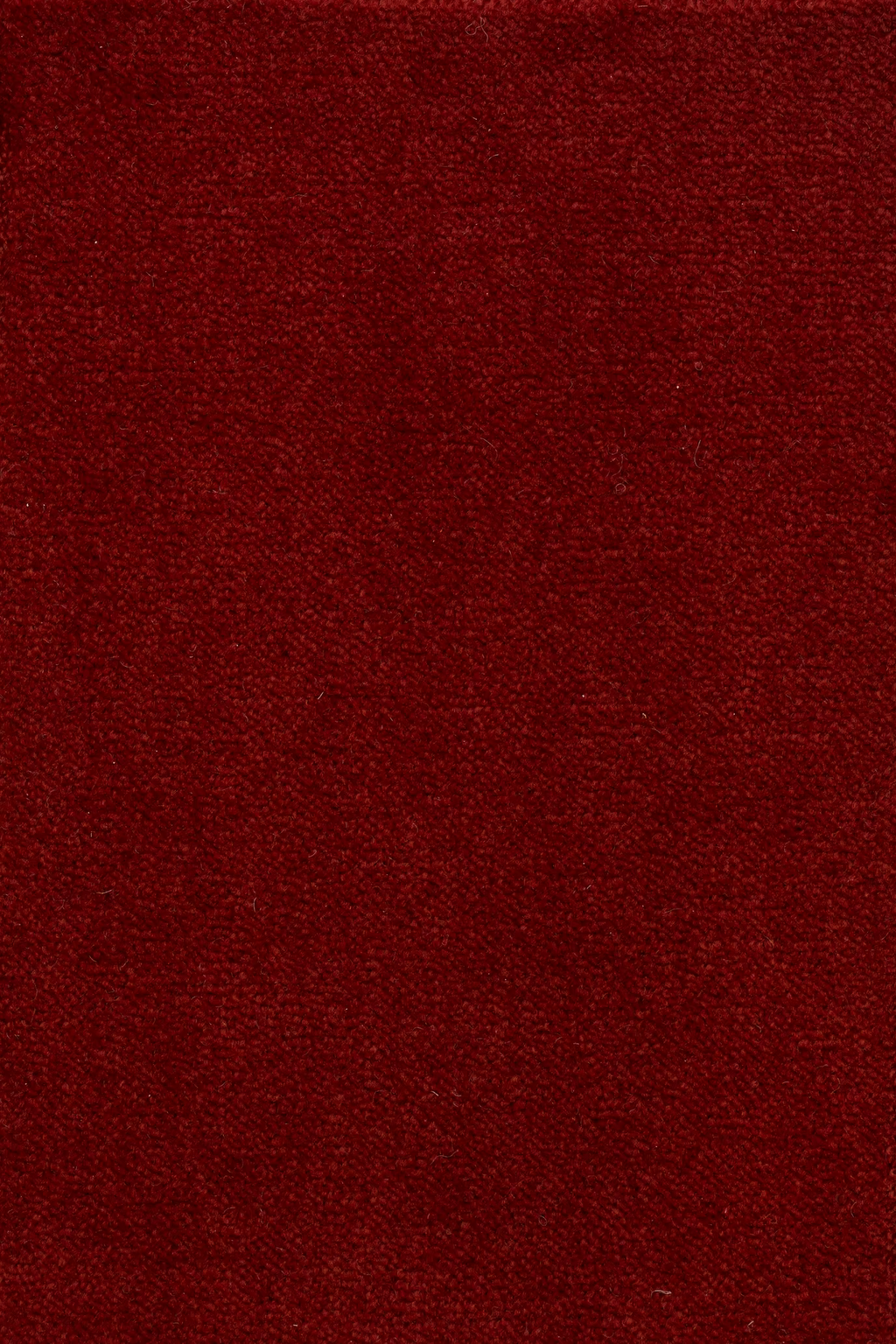 68b5bcd4ac56e3bf254af1b3_Sheba_201768