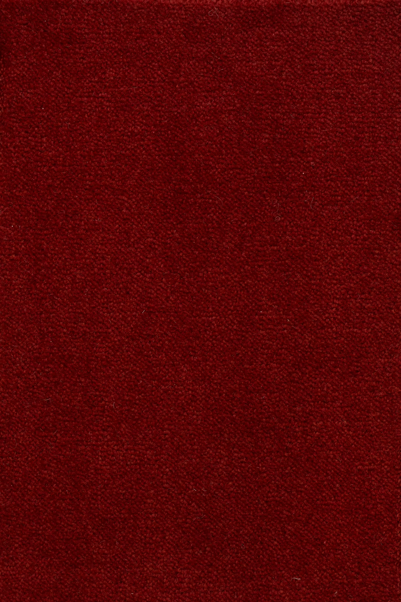 68b5bcd4ac56e3bf254af1b3_Sheba_201768