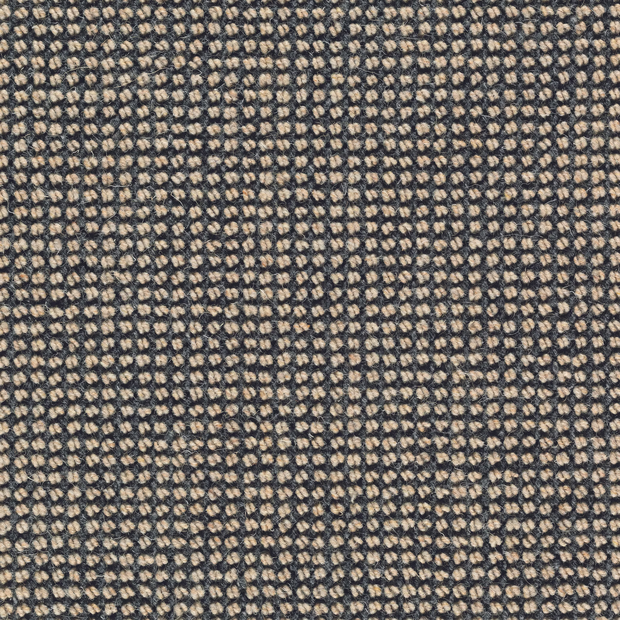 Sicoma / Tasibel Estrella Wiltonmatta