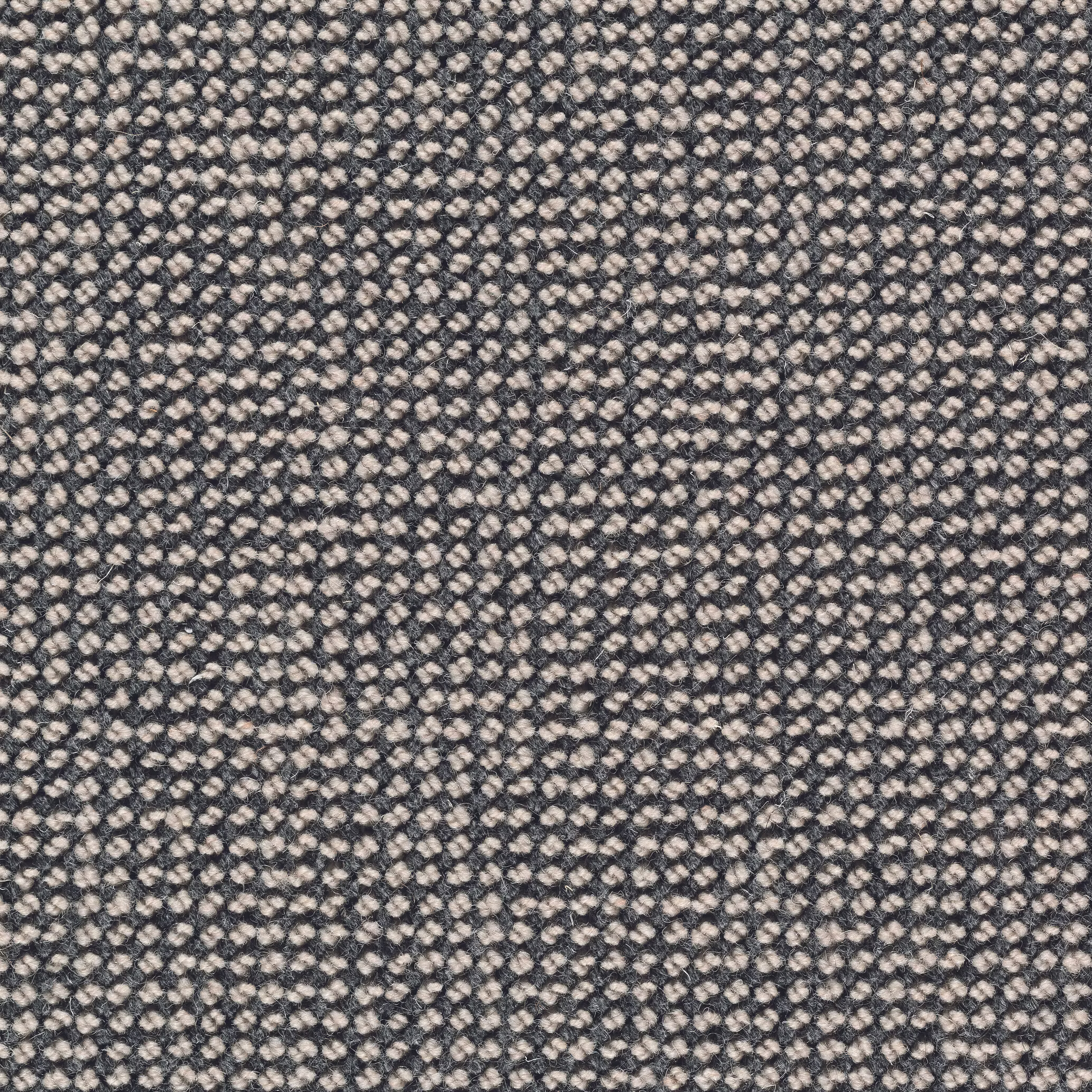 Sicoma / Tasibel Estrella Wiltonmatta