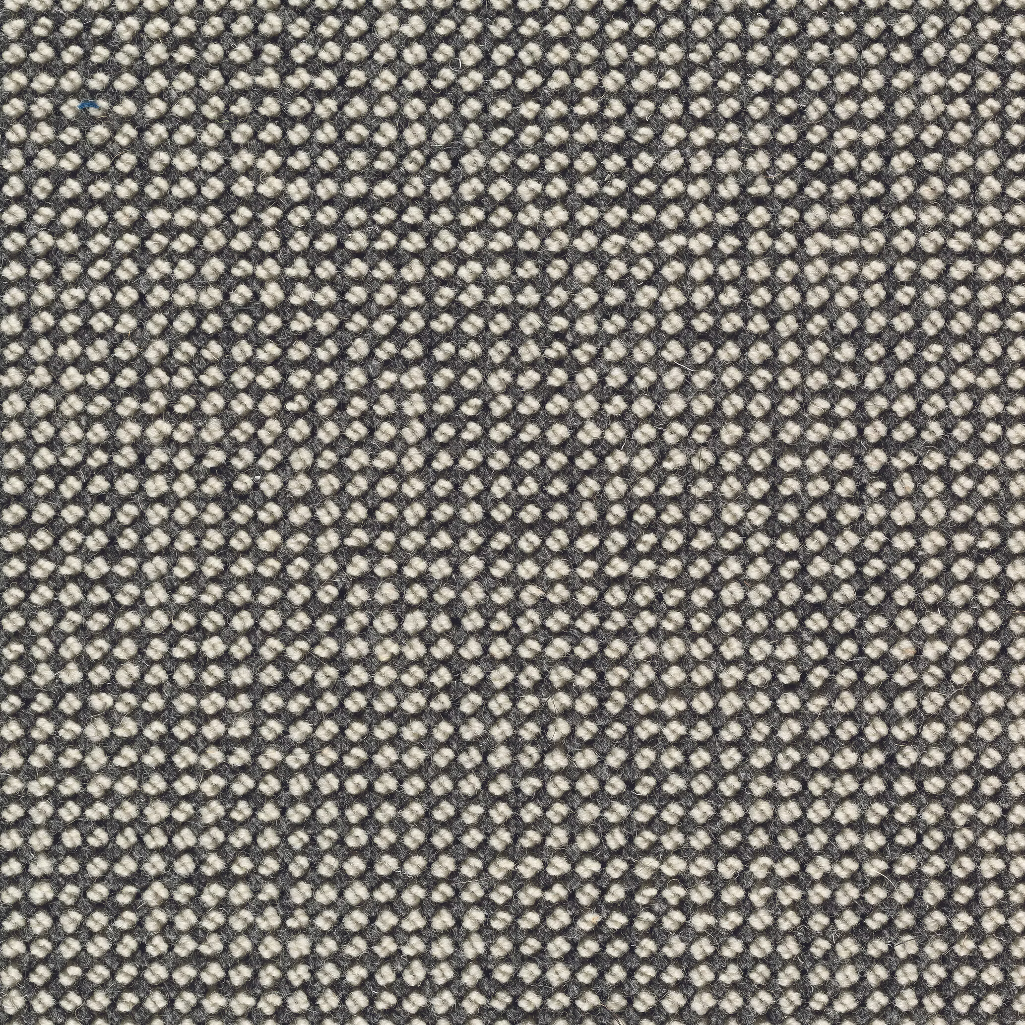 Sicoma / Tasibel Estrella Wiltonmatta