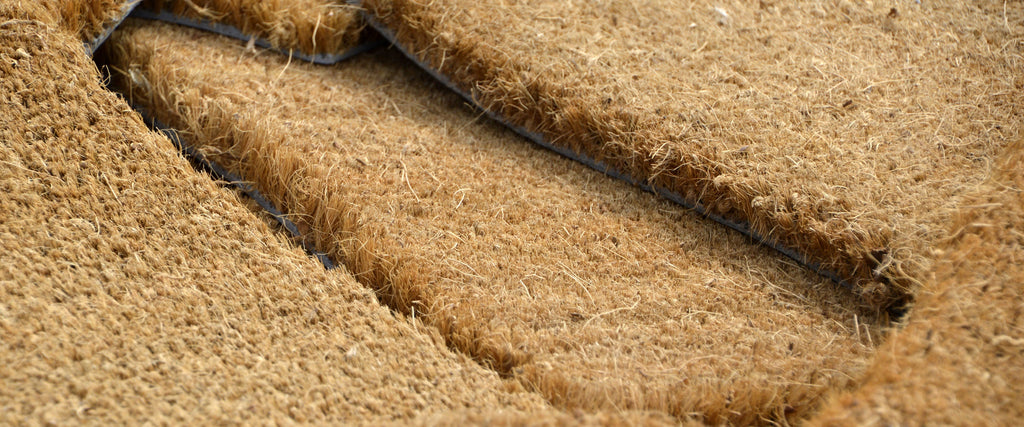 Sicoma / Tasibel Cocosborst Entrématta