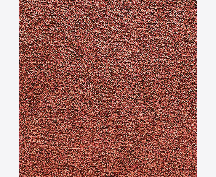 CoralmjukmattaCamelot