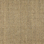 HASM8042400