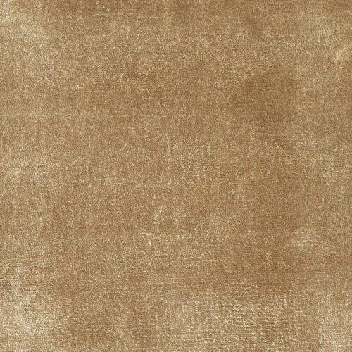 Kheri-Camel-by-Jacaranda-PR1-e1761216558864